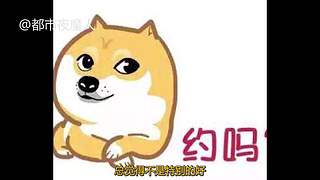 扑朔迷离的案件里隐藏着什么？