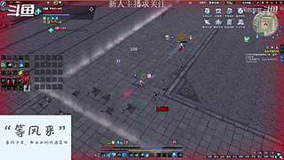 新区DD团招打手