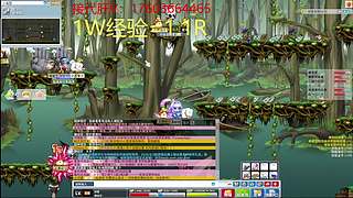 冒险岛 8604448