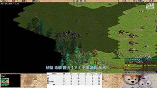 机灵睿智小兔子