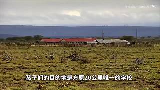 LOLM春风扶杨柳，敢问是段友