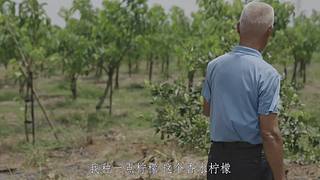 你的海南军阀给你带来最地道的赶海