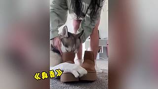 唉呀妈呀！笑抽抽了！