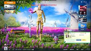和平精英模拟器 12887860