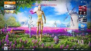 和平精英模拟器 12887860