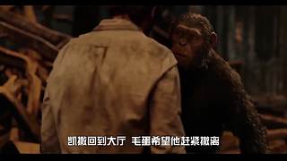 【皮特】前方高能，小心剧透！
