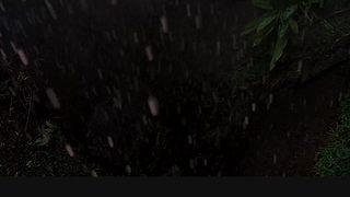 【牛叔】N分钟带你看完大片