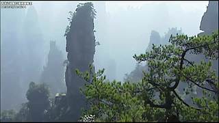 美丽的孔雀公主