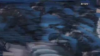 黑T毒物的直播间