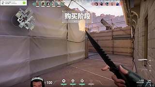 航天薄肌鼠