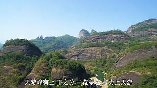 米奇de日常
