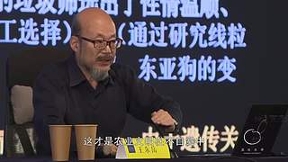 给我出胡八一一一一一