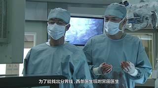 目及-疯狂安利下饭剧
