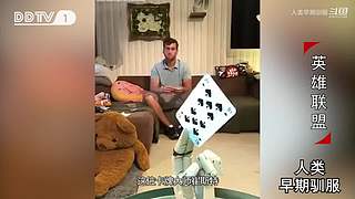 魏蜀吴群雄争霸，发弹幕加入国战