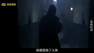 带您进入莱纳电影的电影世界