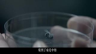搞笑/悬疑，经典电影解说轮播！