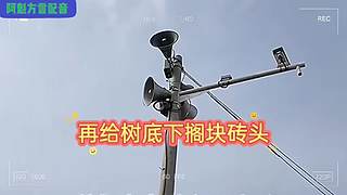 阿魁方言配音的直播间