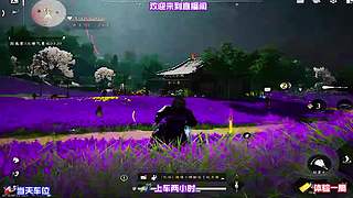 等待昼夜交替，观察城中 NPC 不同作息