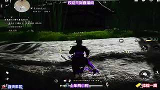 等待昼夜交替，观察城中 NPC 不同作息