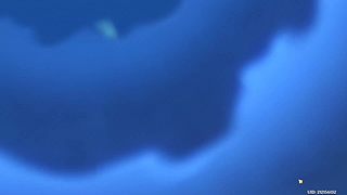 原神3级萌新的直播间