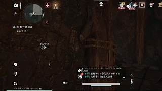 用户放手新手的直播间