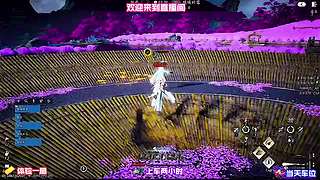 流派切换实战演示，一套配置应对多种场景