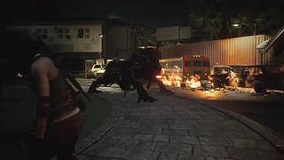 啥也不懂的萌新主播 8553831