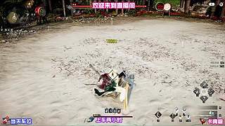 武学外观穿搭搭配，招式与造型兼顾美感