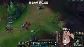 好像是糕手，再看看~~