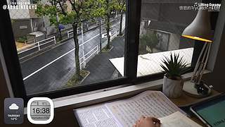 重生之奋发涂墙