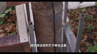 娱乐大于一切 10440627