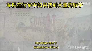 喜欢我的视频或想和我玩，请关注，打赏我哟
