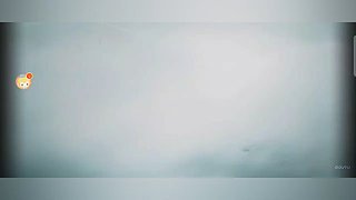 山奈178的直播间