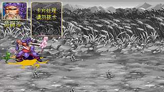 三国战纪2盖世英雄诸葛妖道