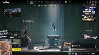 PUBG/酸角洲都可（有位）