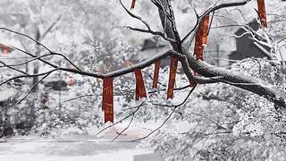 天涯明月刀官方直播