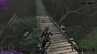 新游放映直播间