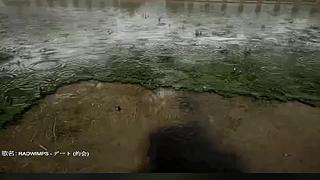 失眠症福音~~~~~~~~~~~
