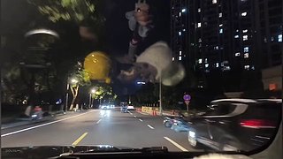 双倍亲密度双倍亲密度