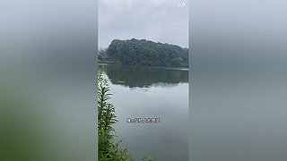 亮gnailux的直播间