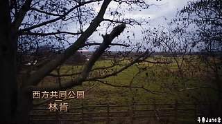 帝国时代4战役剧情