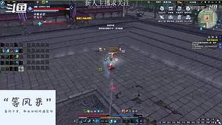 新区DD团招打手