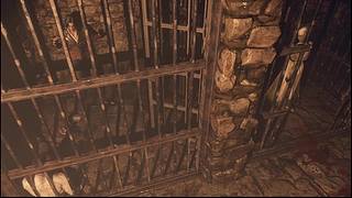 播个王阿姨的DLC