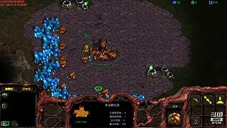 暴风虫族Ameba教你玩转星际争霸I
