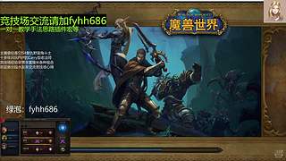 V法-全职业PVP上分(国美欧亚）