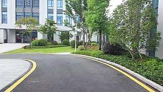 【CSTG】新人主播