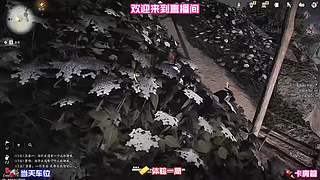 简化每日重复任务，告别枯燥机械操作