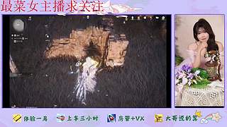 燕云十六声来了哦