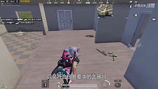 月殿玉兔直播间