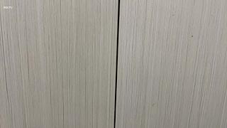 熊掌新人青允上仙界乞讨咯